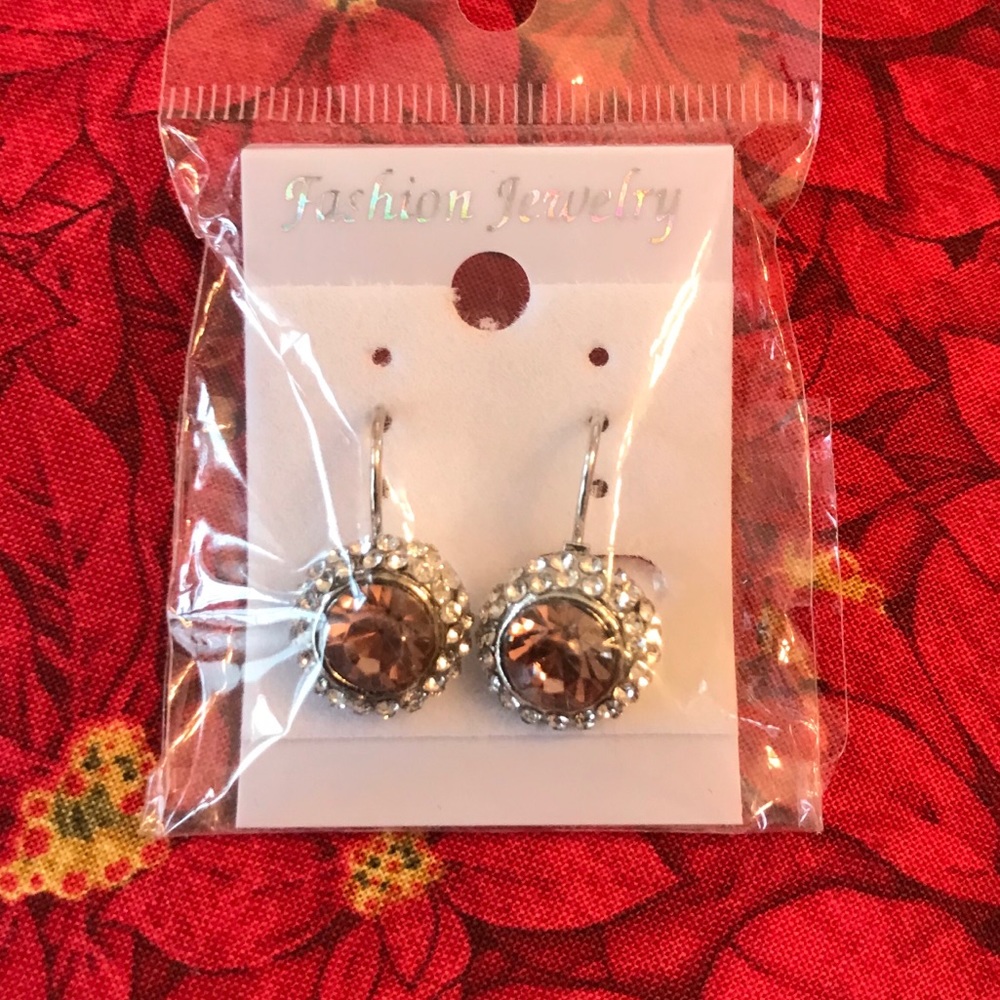 Pink/Coral Silver Earrings